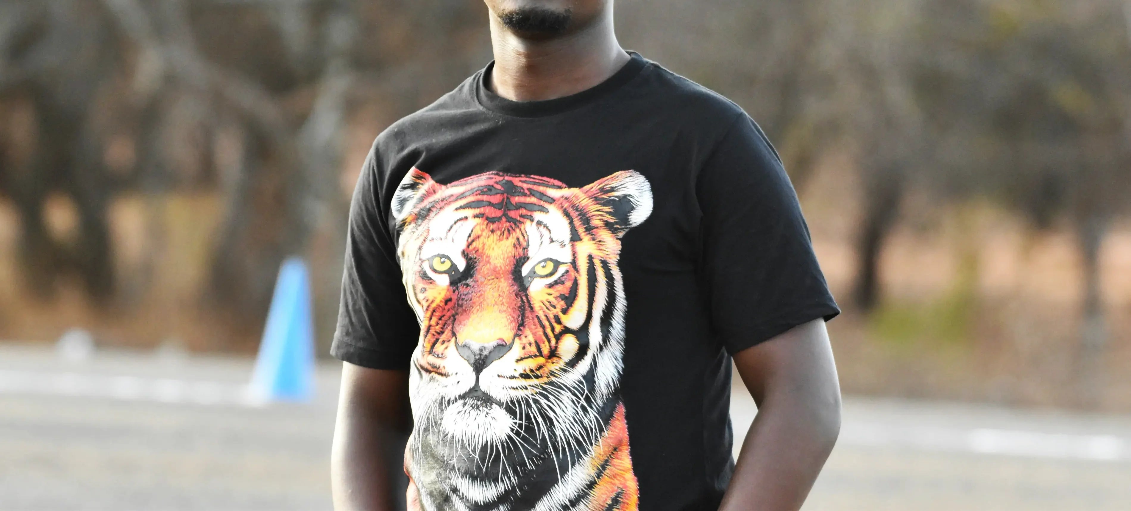 Animals